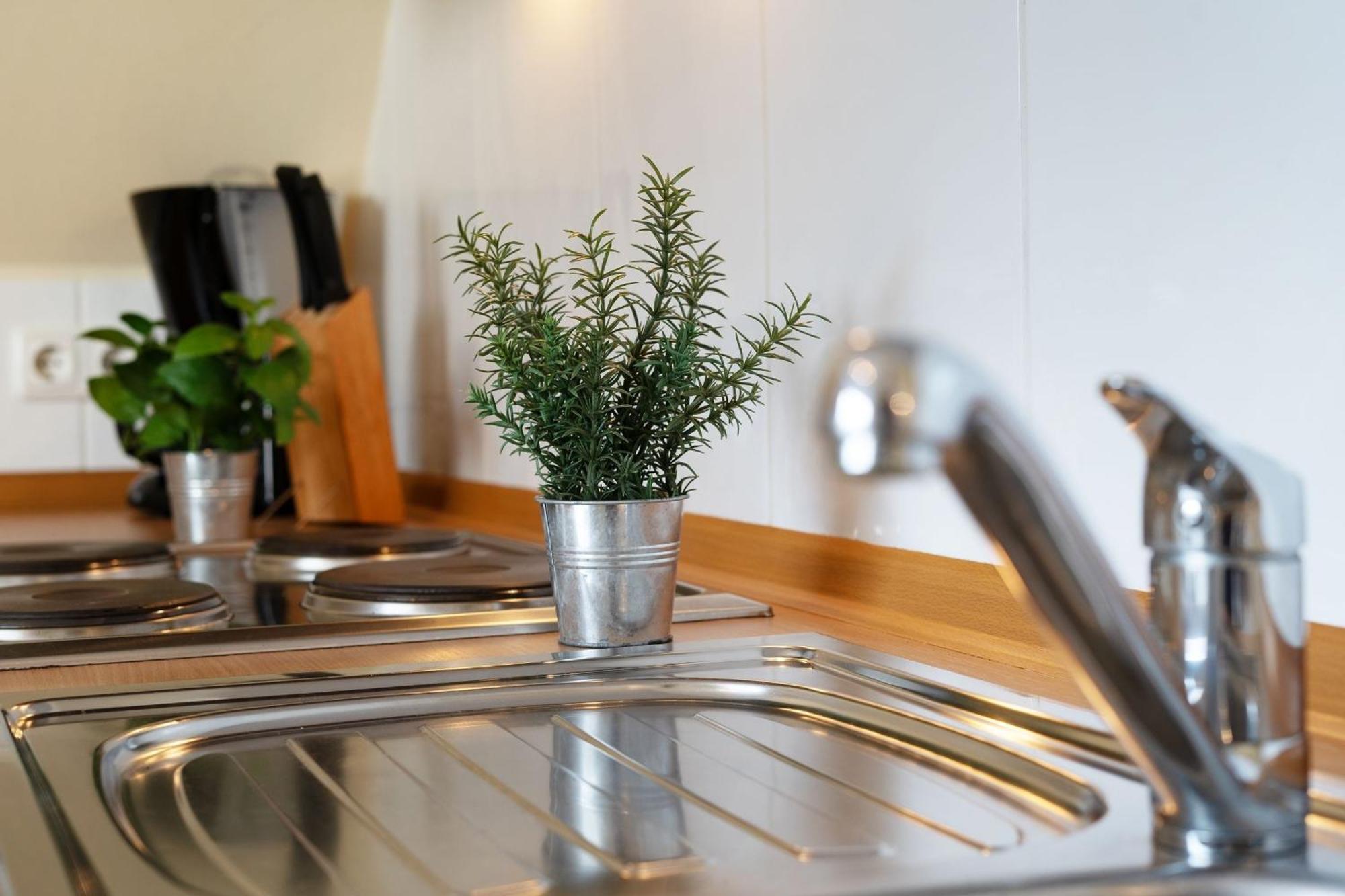 Apartament Cismarer Strasse 32 Sonne Und Wind 2 Dahme  Zewnętrze zdjęcie